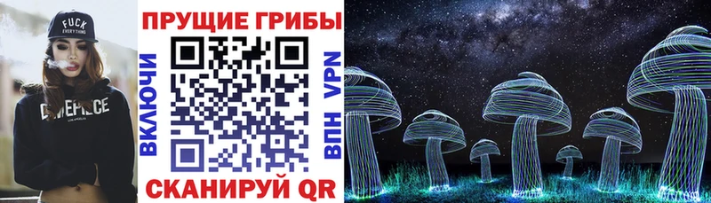 Галлюциногенные грибы MAGIC MUSHROOMS  блэк спрут ССЫЛКА  Комсомольск  купить  